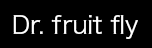 Dr. fruit fly